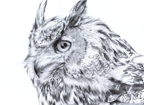 Милые рисунки карандашом