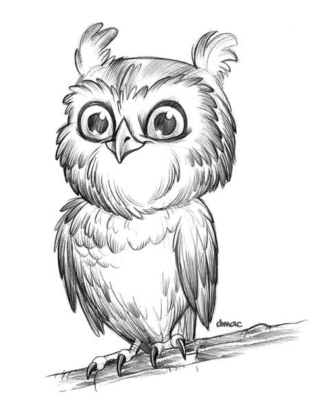 Совушка карандашом