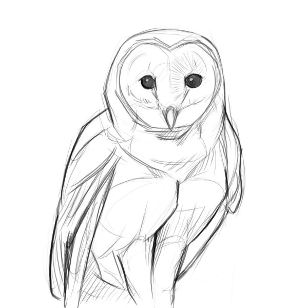 Как нарисовать Сава