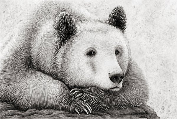 Вадим Горбатов Росомаха