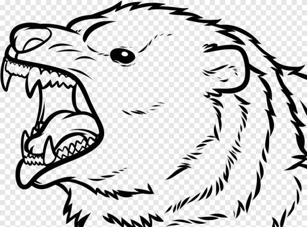 Нарисовать медведя карандашом