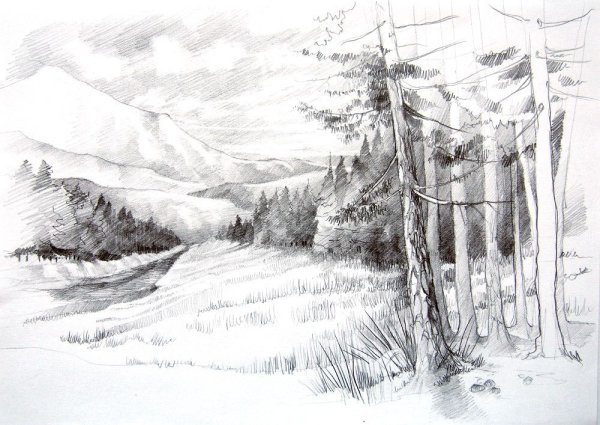Пейзаж карандашом