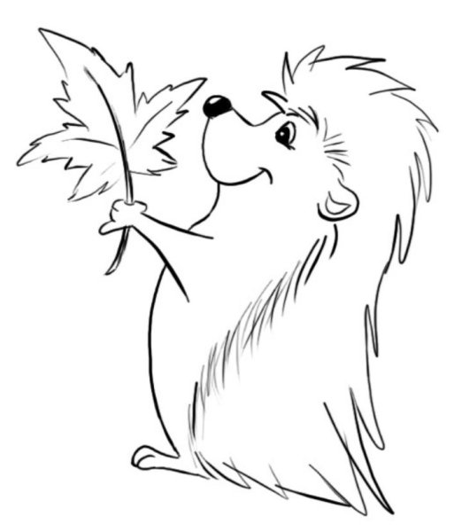 Еж рисунок карандашом