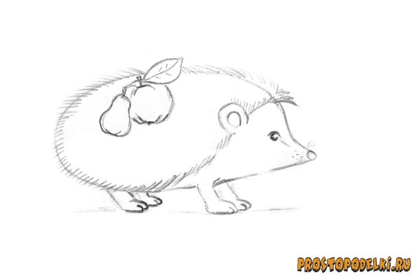 Раскраска Ёжик