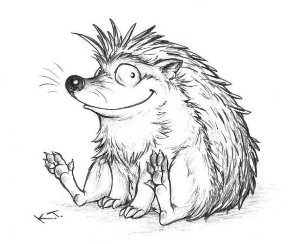 Еж карандашом