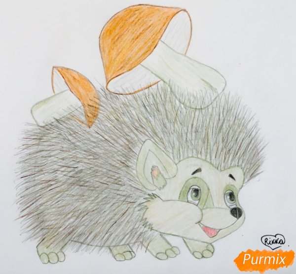 Рисунки Ёжика для срисовки