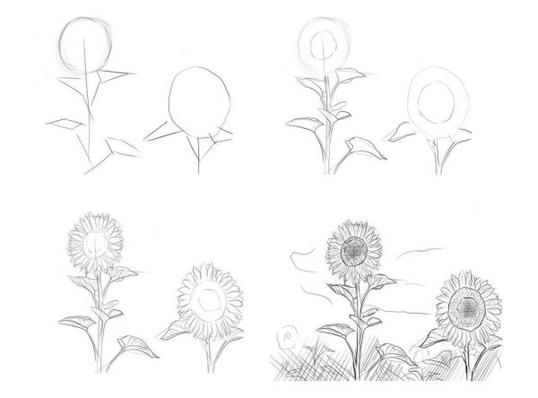 Рисунки для срисовки растения