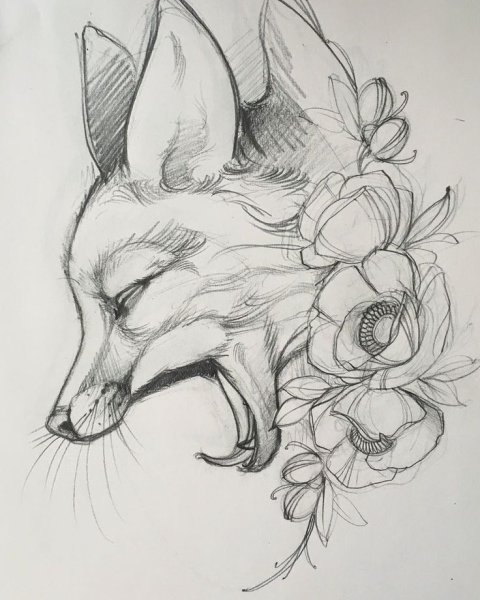 Лиса рисунок карандашом простой