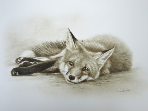 Лиса цветными карандашами