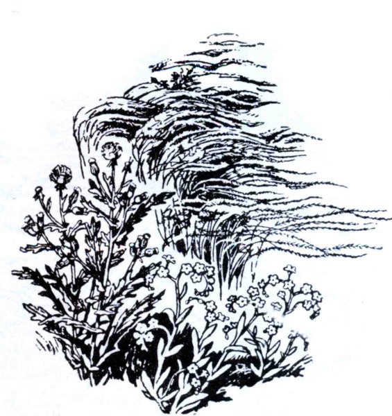 Линия и не выразительные возможности