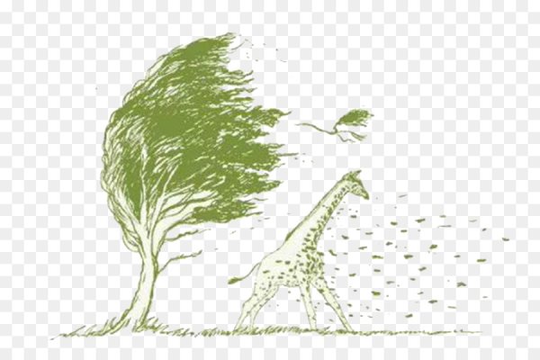 Изображение травы на ветру