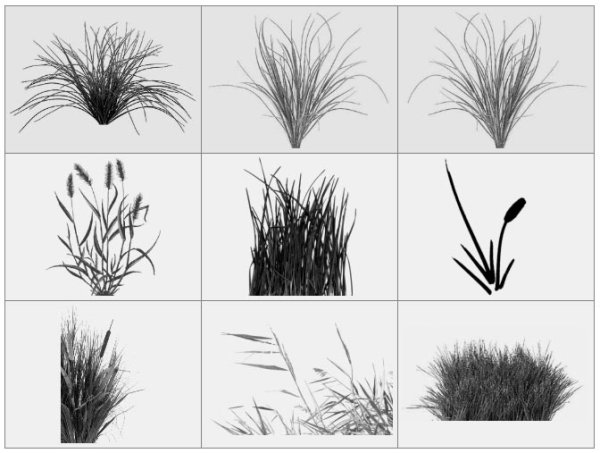 93 Кисти: трава, камыши, колосья