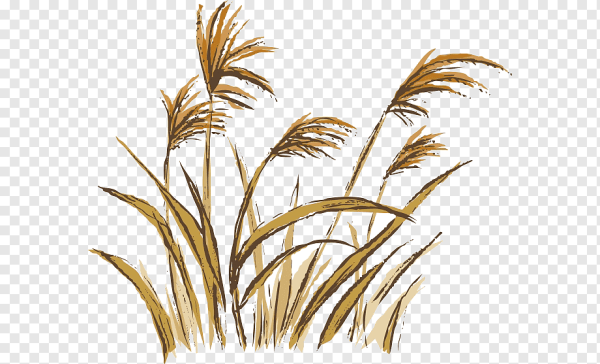 Колыхание травы на ветру рисунок