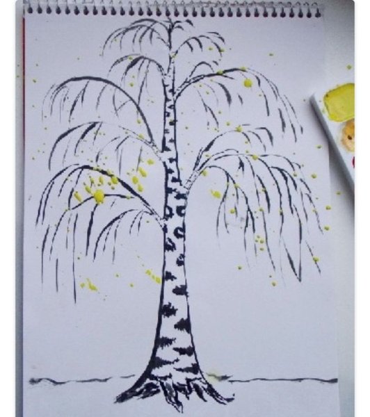 Береза без листьев