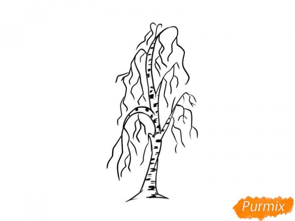 Береза раскраска для детей