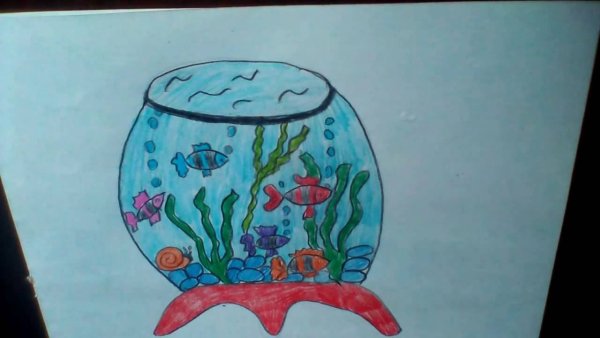 Нарисовать аквариум с рыбками