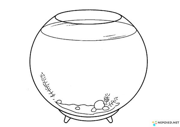 Аквариум для рисования