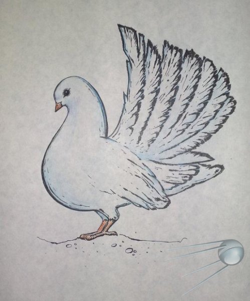 Голубь рисунок