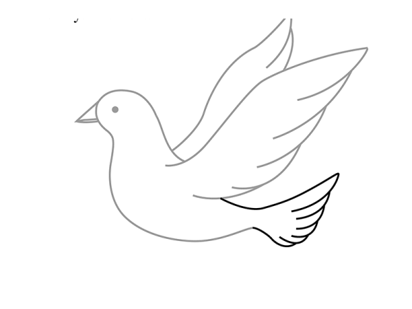 Голубь рисунок
