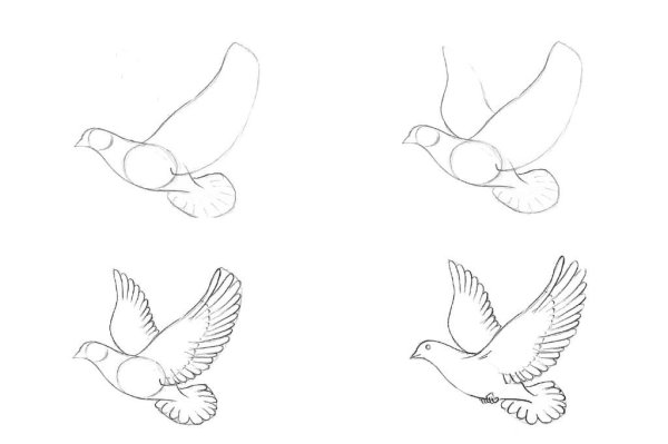 Поэтапное рисование птиц