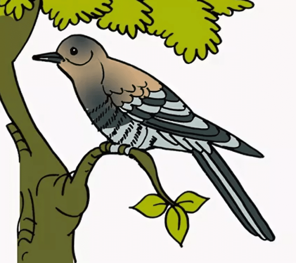 Рисование птиц