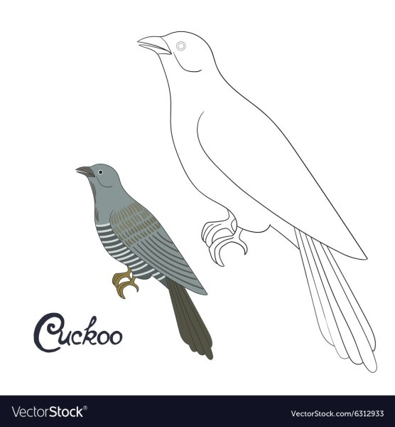 Кукушка рисунок легкий