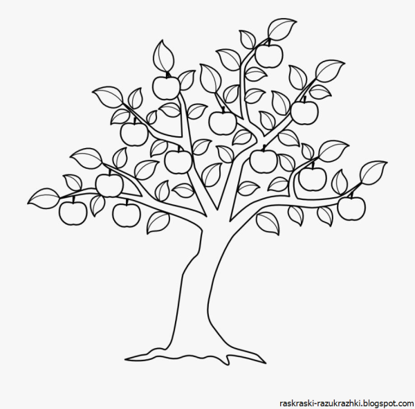 Яблоня контур дерево