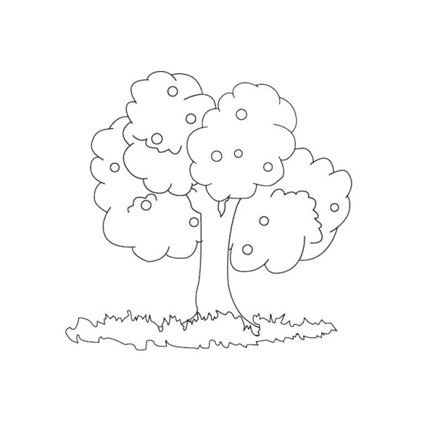 Яблоня раскраска для детей