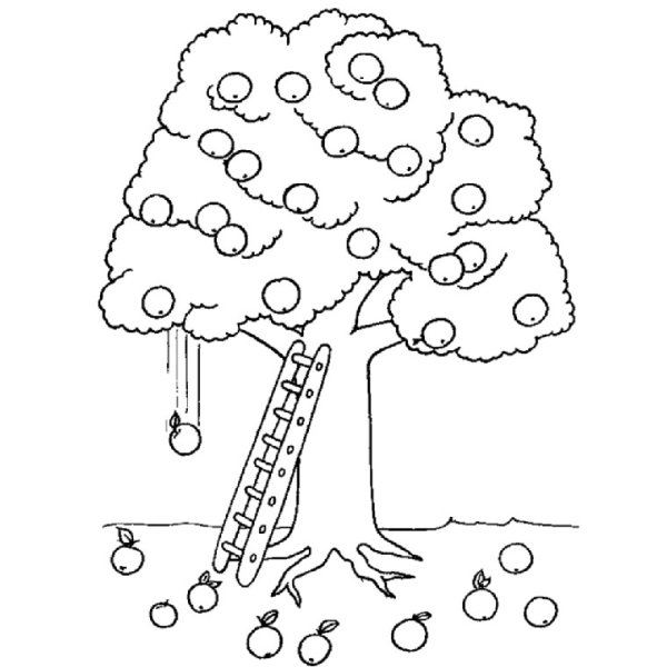 Яблоня раскраска