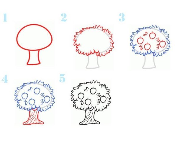 Фруктовые деревья раскраска