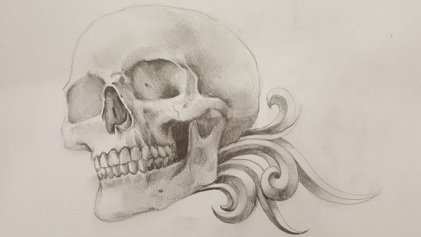 Рисунки черепа для срисовки