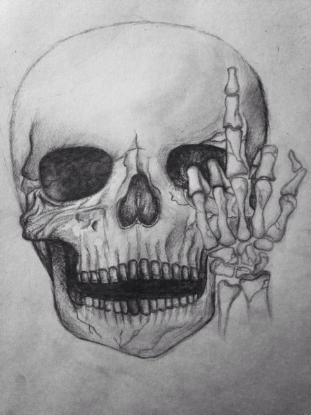 Череп для срисовки