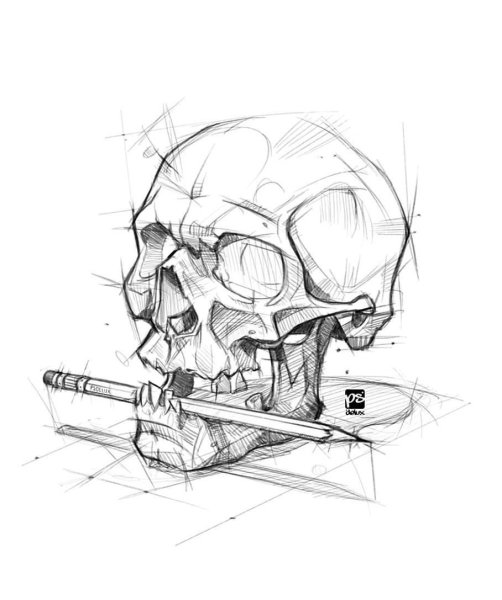 Череп карандашом