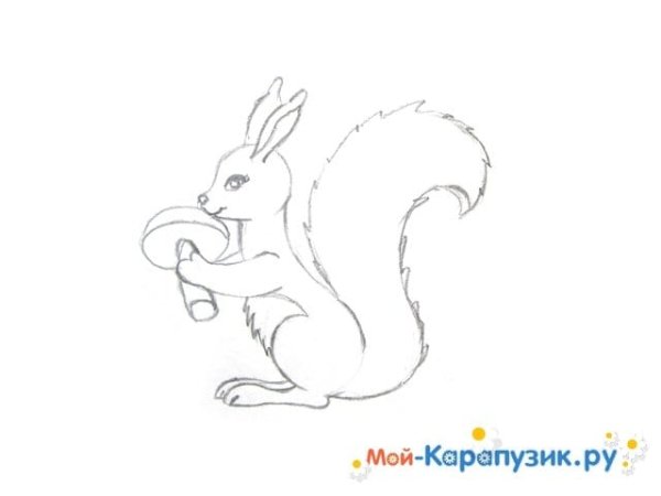 Иллюстрация к сказке о царе Салтане белка