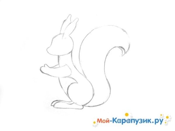 Белка раскраска