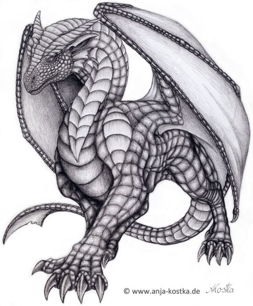 Рисунок дракона для срисовки