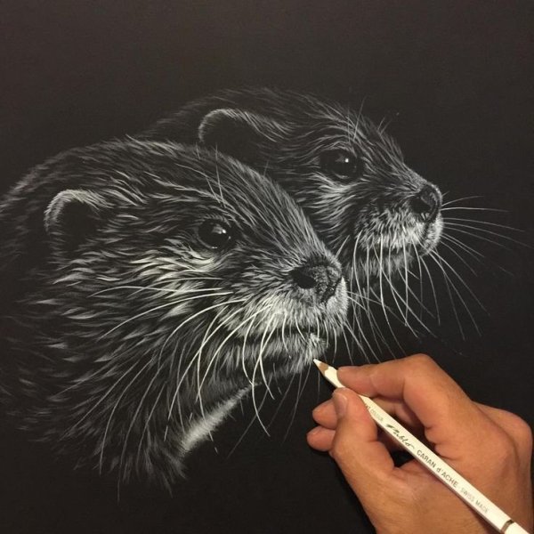 Скетчинг на черной бумаге