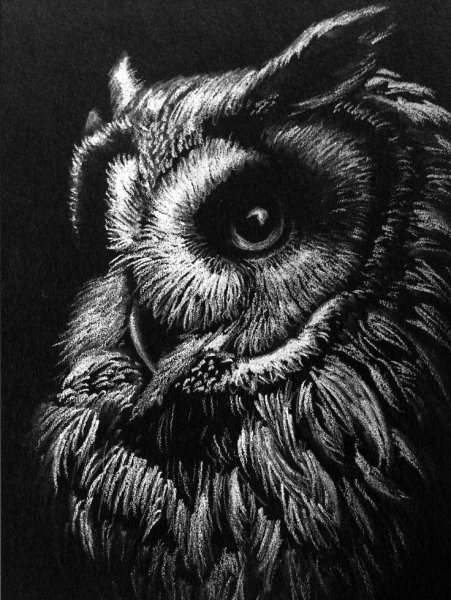 Графическая Сова