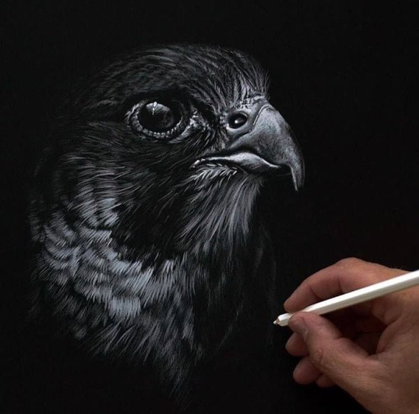 Рисование на черной бумаге