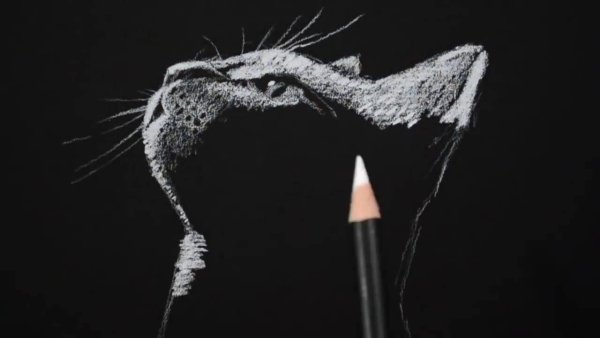 Рисование белым по черному