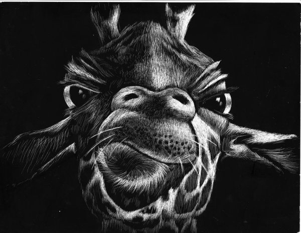 Рисунки на черной бумаге