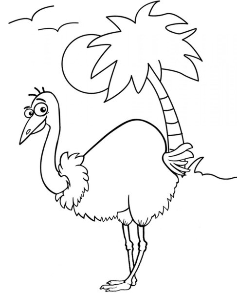 Страус трафарет