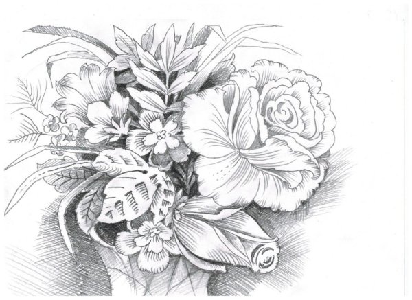 Рисунки карадашомцветы