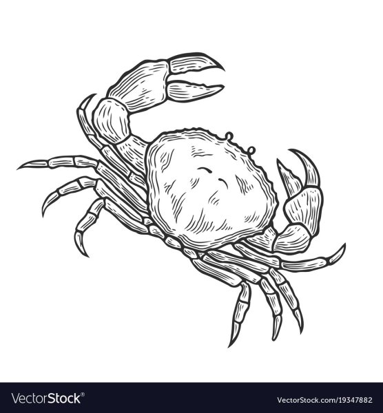 Краб карандашом