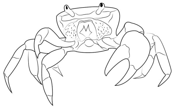Краб рисунок