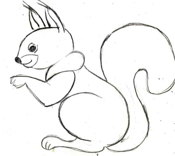 Белка рисунок