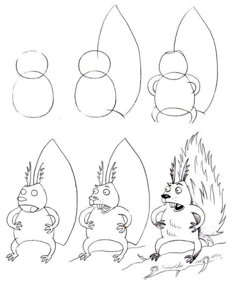 Белка рисунок карандашом