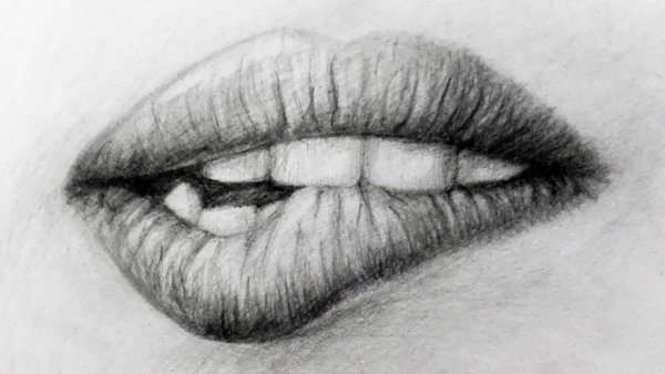 Картинки для срисовки губы