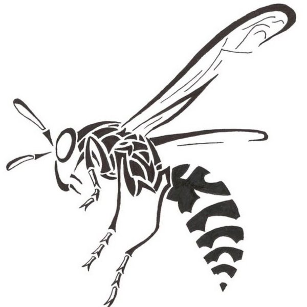 Пчела рисунок