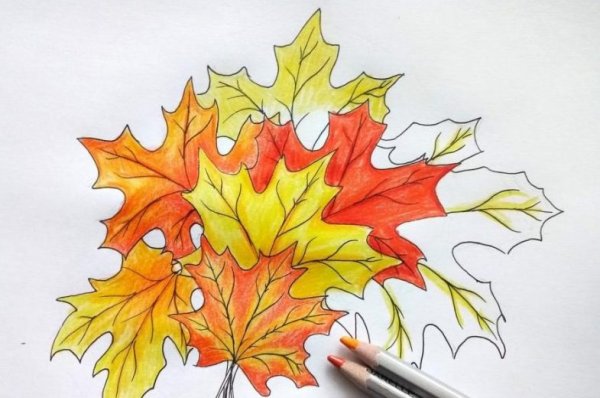 Кленовый лист рисунок